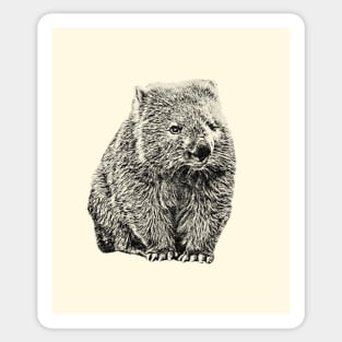 Wombat Sticker